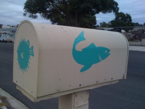 Salmon side green salmon on white mailbox