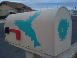 dolphin cowboy 02 cowboy on salmon on white mailbox